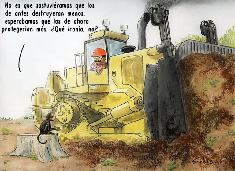 Deforestacion