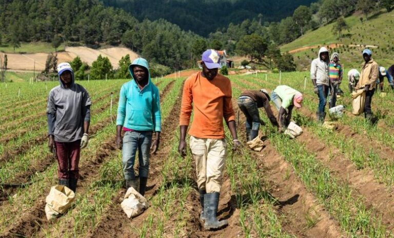 haitianos en constanza
