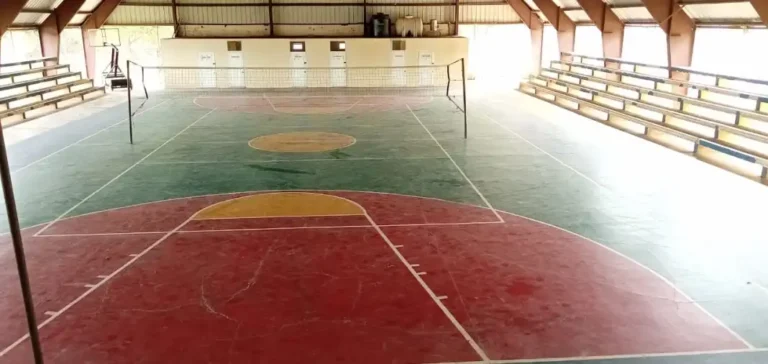 POLIDEPORTIVO SAJOMA
