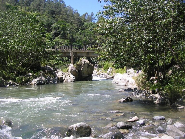 Rio Bao