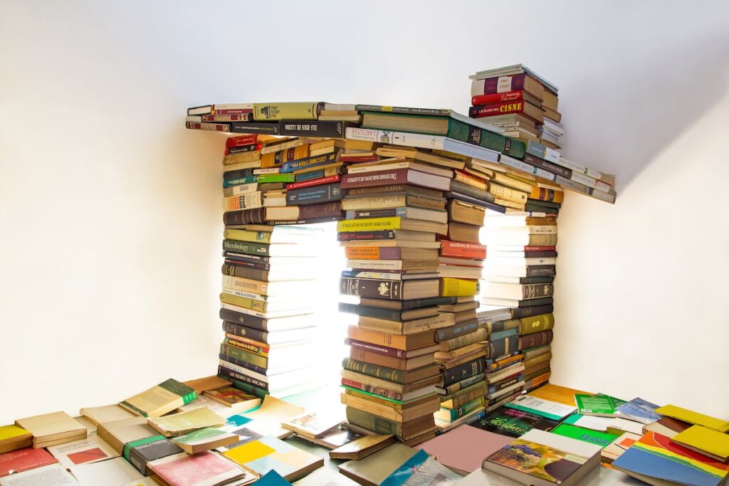 LIBRO LITERATURA