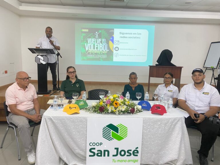 Voleibol