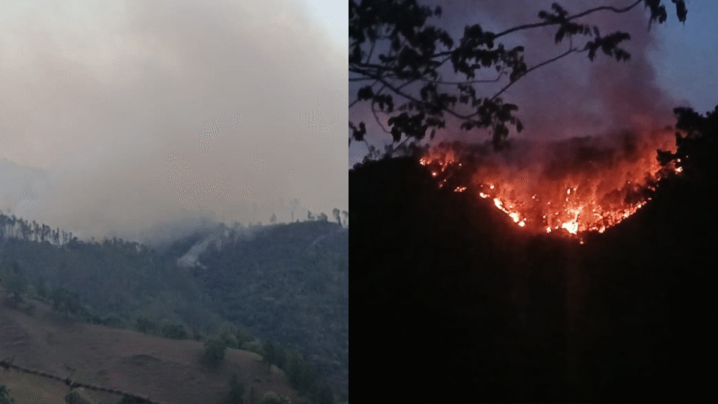 Incendio Janico