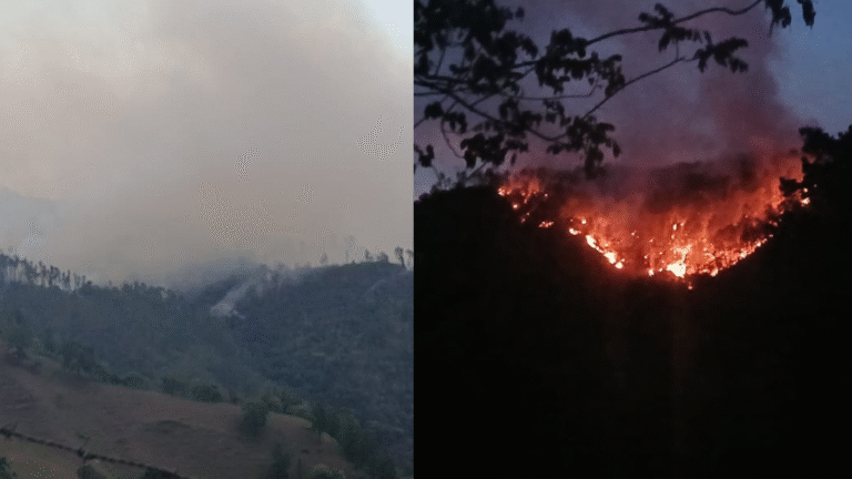 Incendio Janico