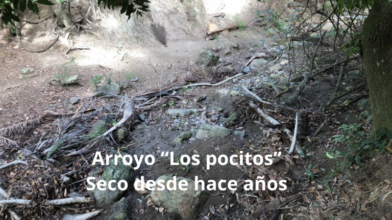 Los pocitos