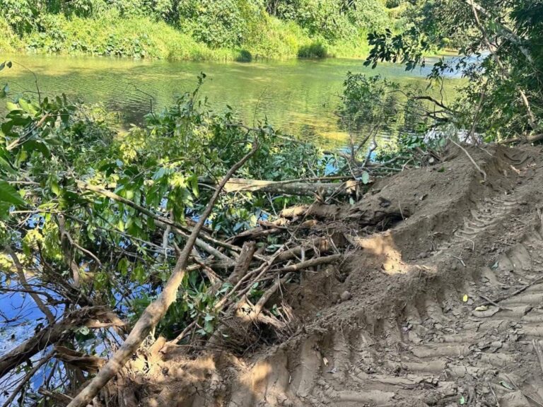 ECOCIDIO EN SAN JOSÉ DE LAS MATAS