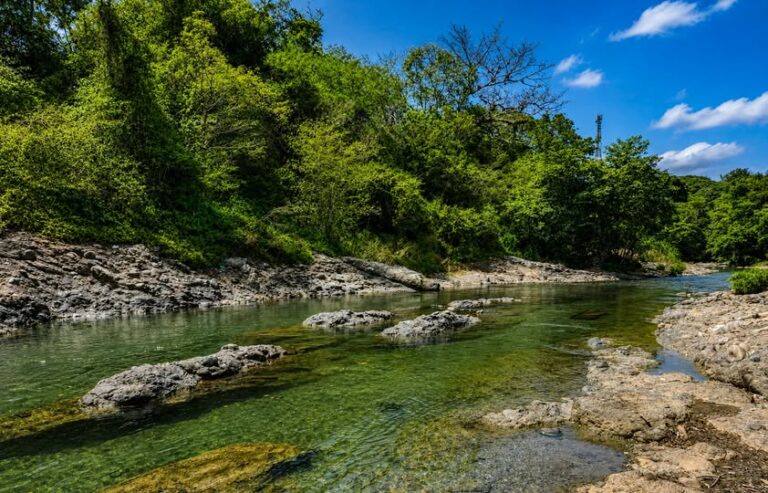 RIO AMINA