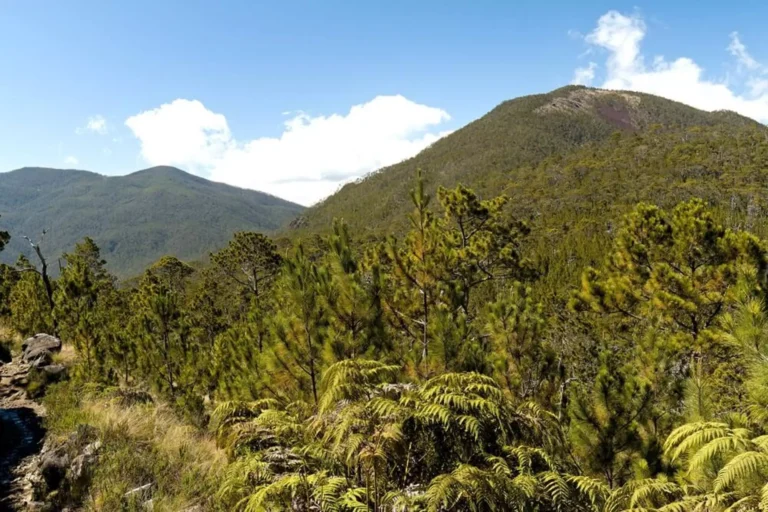 Parque Nacional Armando Bermúdez