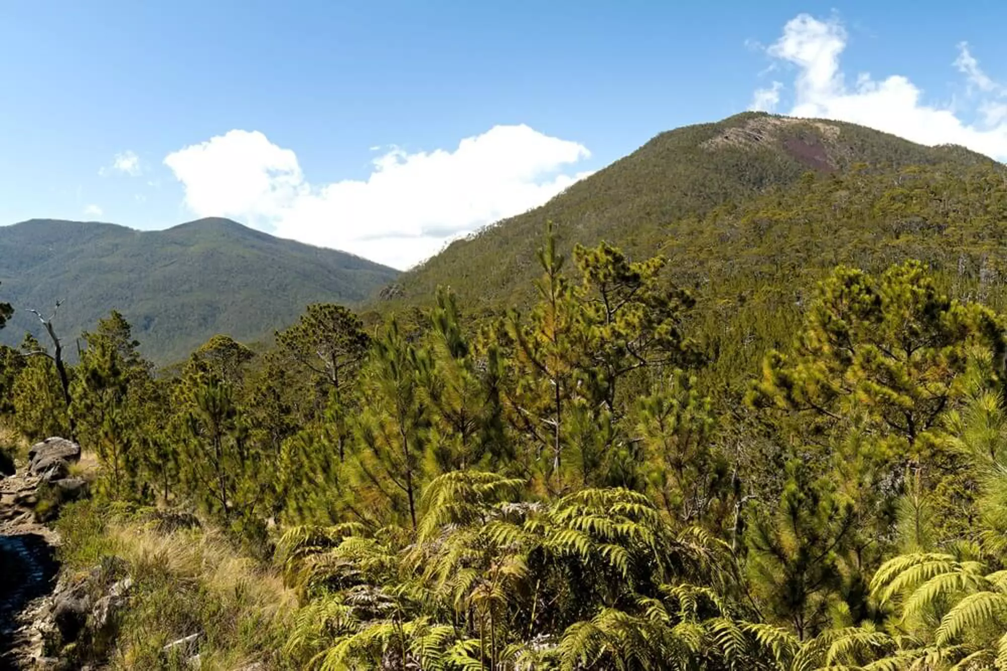 Parque Nacional Armando Bermúdez